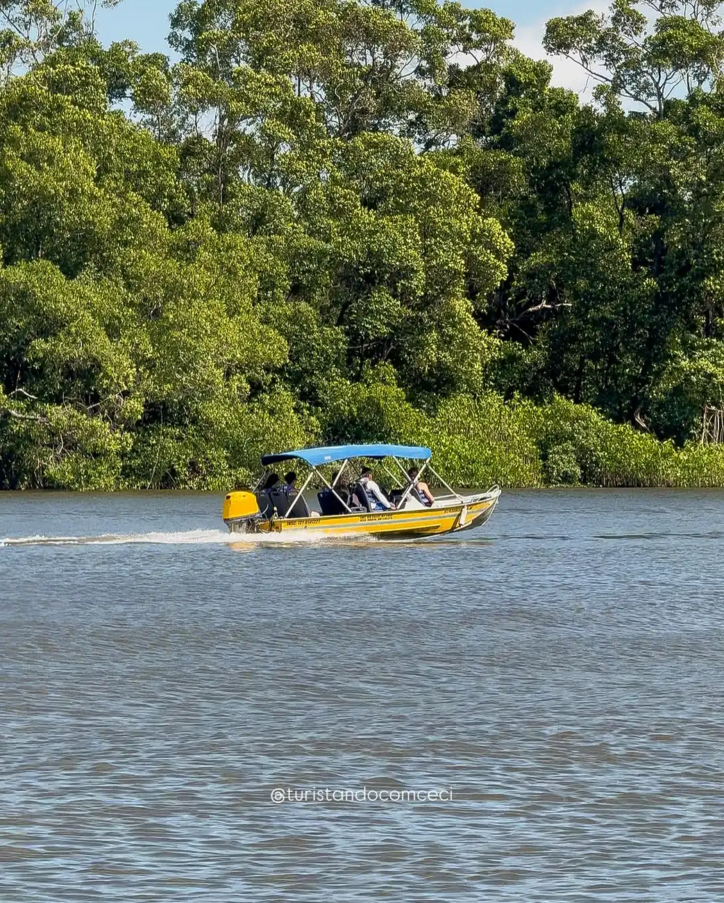 Speedboat with visitors heading down the Preguiças River, lined with forest