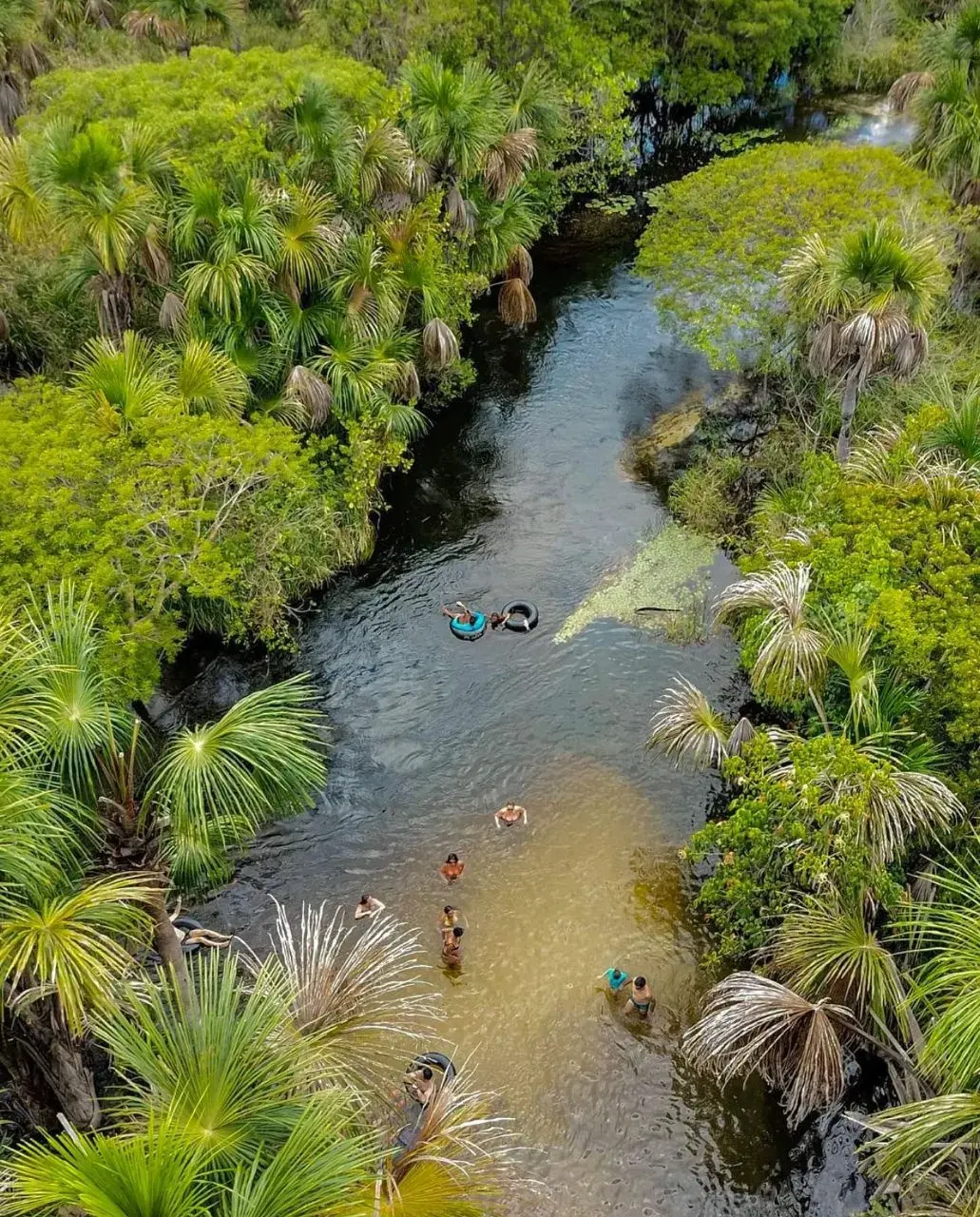 Vista aérea do Rio Formiga, com o grupo boiando entre os buritis