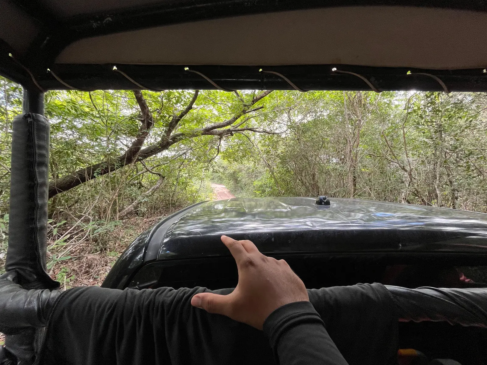 Trajeto até a Lagoa Azul visto de dentro do 4x4, na estrada de terra em meio à mata